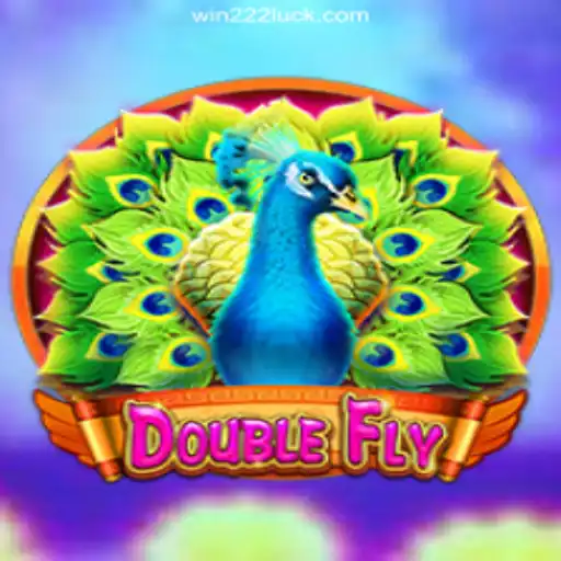DoubleFly: A Mesmerizing Adventure in the Realm of Online Gaming